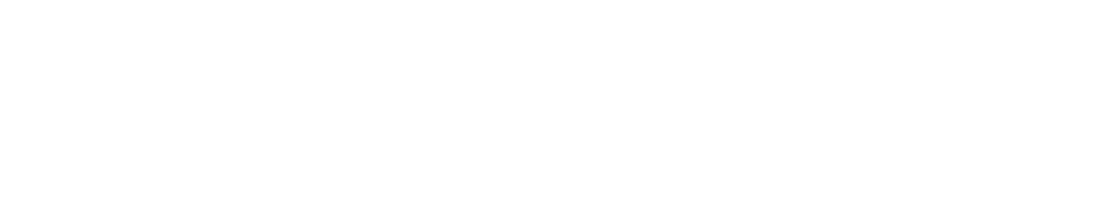 Official Emmarice Integrated Services logo